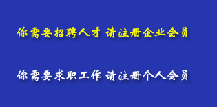人才网